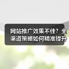 网站推广效果不佳？全渠道策略如何精准提升（图4）