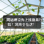 网站建设先上线备案行吗？风险全在这！（图4）