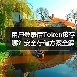 用户登录后Token该存哪？安全存储方案全解析（图3）
