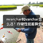nvarchar和varchar怎么选?存储性能差异全解析(图3) nvarchar和varchar怎么选?存储性能差异全解析(图3)