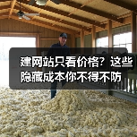 建网站只看价格?这些隐藏成本你不得不防(图4) 建网站只看价格?这些隐藏成本你不得不防(图4)