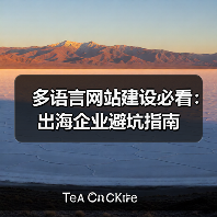 多语言网站建设必看:出海企业避坑指南(图2) 多语言网站建设必看:出海企业避坑指南(图2)