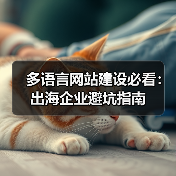 多语言网站建设必看:出海企业避坑指南(图4) 多语言网站建设必看:出海企业避坑指南(图4)