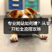 专业网站如何建?从零开始全流程攻略(图1) 专业网站如何建?从零开始全流程攻略(图1)