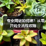 专业网站如何建?从零开始全流程攻略(图3) 专业网站如何建?从零开始全流程攻略(图3)