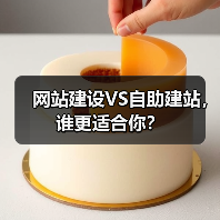 网站建设VS自助建站,谁更适合你?(图4) 网站建设VS自助建站,谁更适合你?(图4)