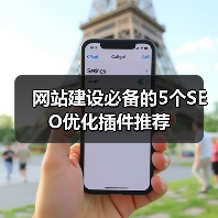 网站建设必备的5个SEO优化插件推荐(图4) 网站建设必备的5个SEO优化插件推荐(图4)