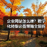 企业网站怎么建？数字化转型必备策略全解析