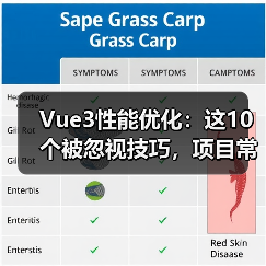 Vue3性能优化:这10个被忽视技巧,项目常忽略的原因(图4) Vue3性能优化:这10个被忽视技巧,项目常忽略的原因(图4)