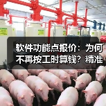 软件功能点报价:为何不再按工时算钱?精准定价新思路(图3) 软件功能点报价:为何不再按工时算钱?精准定价新思路(图3)