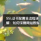 SSL证书配置全流程详解:如何保障网站数据安全?(图1) SSL证书配置全流程详解:如何保障网站数据安全?(图1)