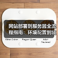 网站部署到服务器全流程指南:环境配置到域名解析的详细操作步骤(图2) 网站部署到服务器全流程指南:环境配置到域名解析的详细操作步骤(图2)