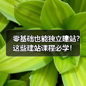 零基础也能独立建站?这些建站课程必学!(图4) 零基础也能独立建站?这些建站课程必学!(图4)