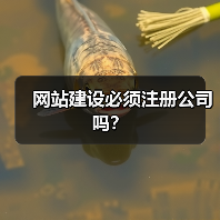 网站建设必须注册公司吗?(图4) 网站建设必须注册公司吗?(图4)