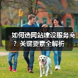 如何选网站建设服务商?关键要素全解析(图3) 如何选网站建设服务商?关键要素全解析(图3)