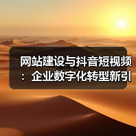 网站建设与抖音短视频：企业数字化转型新引擎（图2）