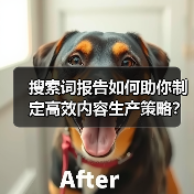 搜索词报告如何助你制定高效内容生产策略？