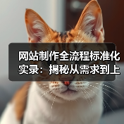 网站制作全流程标准化实录：揭秘从需求到上线的关键步骤