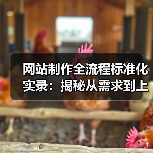 网站制作全流程标准化实录：揭秘从需求到上线的关键步骤（图4）