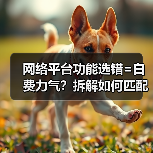 网络平台功能选错=白费力气?拆解如何匹配让你生意起飞!(图4) 网络平台功能选错=白费力气?拆解如何匹配让你生意起飞!(图4)
