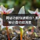 网站功能包括哪些?揭秘必备功能清单(图2) 网站功能包括哪些?揭秘必备功能清单(图2)