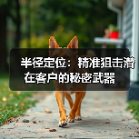 半径定位：精准狙击潜在客户的秘密武器（图3）