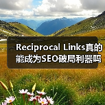Reciprocal Links真的能成为SEO破局利器吗？（图3）
