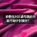 参数化SQL语句真的不会污染计划缓存？（图4）