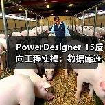 PowerDesigner 15反向工程实操:数据库连接配置全攻略(图2) PowerDesigner 15反向工程实操:数据库连接配置全攻略(图2)