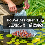 PowerDesigner 15反向工程实操:数据库连接配置全攻略(图1) PowerDesigner 15反向工程实操:数据库连接配置全攻略(图1)