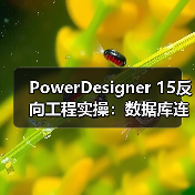PowerDesigner 15反向工程实操:数据库连接配置全攻略(图4) PowerDesigner 15反向工程实操:数据库连接配置全攻略(图4)