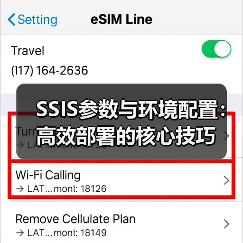 SSIS参数与环境配置：高效部署的核心技巧（图4）