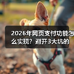 2026年网页支付功能怎么实现?避开3大坑的实战指南(图1) 2026年网页支付功能怎么实现?避开3大坑的实战指南(图1)