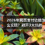 2026年网页支付功能怎么实现?避开3大坑的实战指南(图2) 2026年网页支付功能怎么实现?避开3大坑的实战指南(图2)