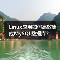 Linux应用如何高效集成MySQL数据库？（图2）