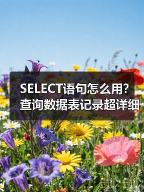 SELECT语句怎么用?查询数据表记录超详细教程(图2) SELECT语句怎么用?查询数据表记录超详细教程(图2)