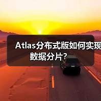 Atlas分布式版如何实现数据分片？（图4）