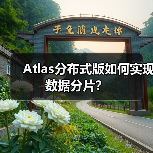 Atlas分布式版如何实现数据分片？（图3）