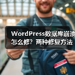 WordPress数据库崩溃怎么修?两种修复方法详解(图1) WordPress数据库崩溃怎么修?两种修复方法详解(图1)