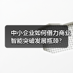 中小企业如何借力商业智能突破发展瓶颈？（图3）