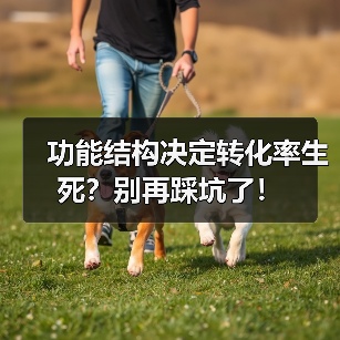功能结构决定转化率生死?别再踩坑了!(图3) 功能结构决定转化率生死?别再踩坑了!(图3)