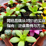 网络品牌从0到1的实战指南:逆袭案例与方法论(图4) 网络品牌从0到1的实战指南:逆袭案例与方法论(图4)