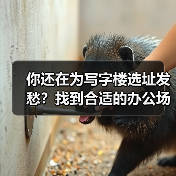 你还在为写字楼选址发愁？找到合适的办公场地真的不难（图4）