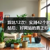踩坑12次!实测42个网站后,好网站的真正标准是什么?(图2) 踩坑12次!实测42个网站后,好网站的真正标准是什么?(图2)