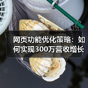 网页功能优化策略:如何实现300万营收增长?(图3) 网页功能优化策略:如何实现300万营收增长?(图3)