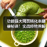 功能强大网页转化率翻倍秘诀!实战经验拆解与优化策略(图4) 功能强大网页转化率翻倍秘诀!实战经验拆解与优化策略(图4)