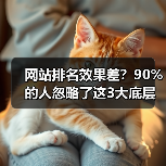 网站排名效果差?90%的人忽略了这3大底层逻辑(图3) 网站排名效果差?90%的人忽略了这3大底层逻辑(图3)