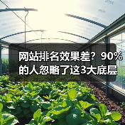 网站排名效果差?90%的人忽略了这3大底层逻辑(图4) 网站排名效果差?90%的人忽略了这3大底层逻辑(图4)