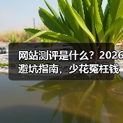 网站测评是什么？2026避坑指南，少花冤枉钱