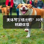 奥体写字楼出租?30天租期保障(图4) 奥体写字楼出租?30天租期保障(图4)